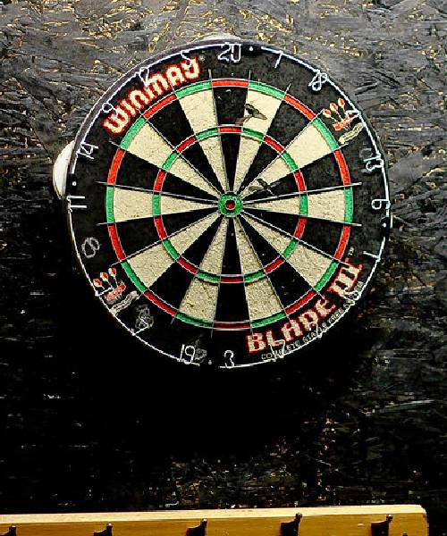 About Us Page of Darts Lesson