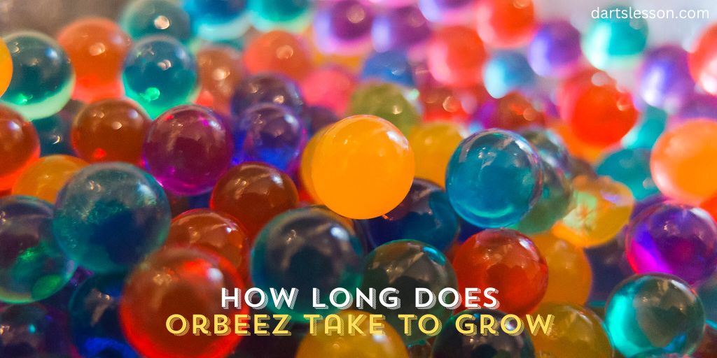 How Long Does Orbeez Take to Grow
